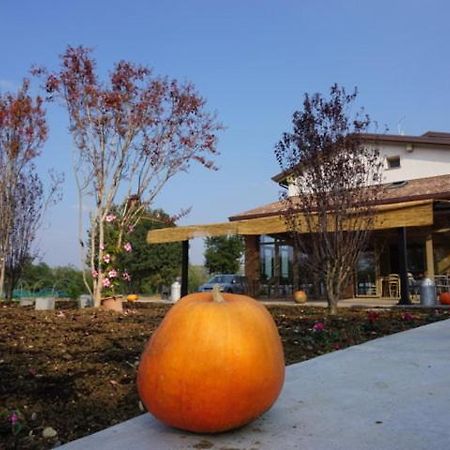 Agriturismo Campogrande Carpaneto Piacentino Dış mekan fotoğraf