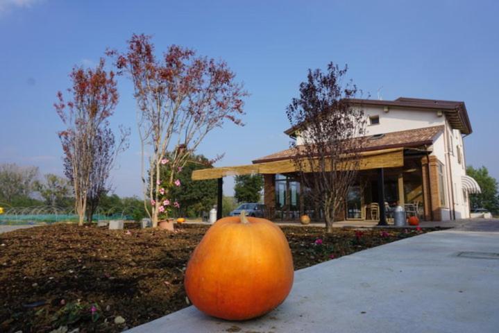 Agriturismo Campogrande Carpaneto Piacentino Dış mekan fotoğraf