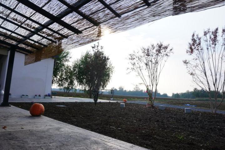 Agriturismo Campogrande Carpaneto Piacentino Dış mekan fotoğraf
